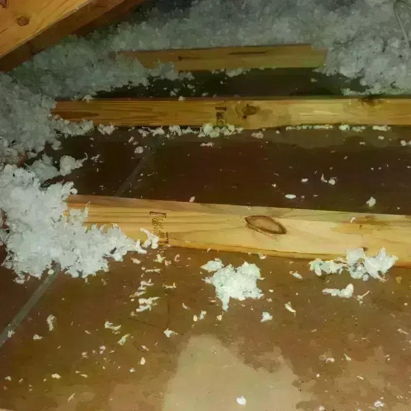 Attic Water Damage in Buffalo County, SD