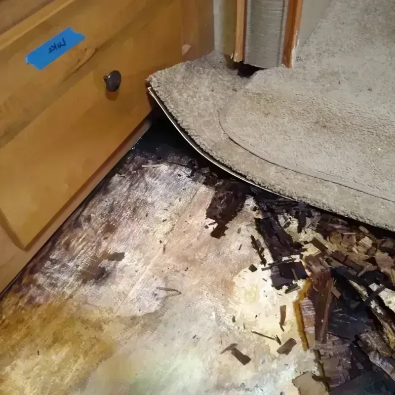 Wood Floor Water Damage in Buffalo County, SD